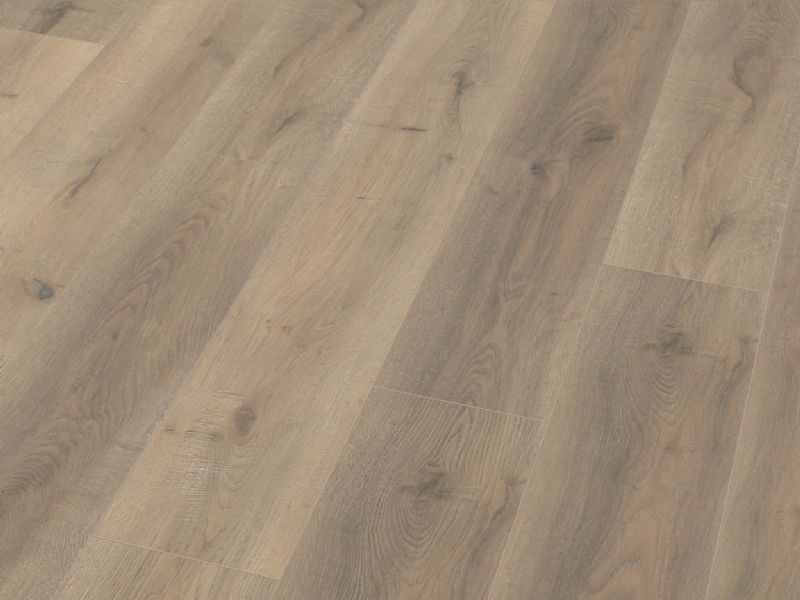 Fusion Classic 12mm Grey Beige Oak 4V Laminate Flooring